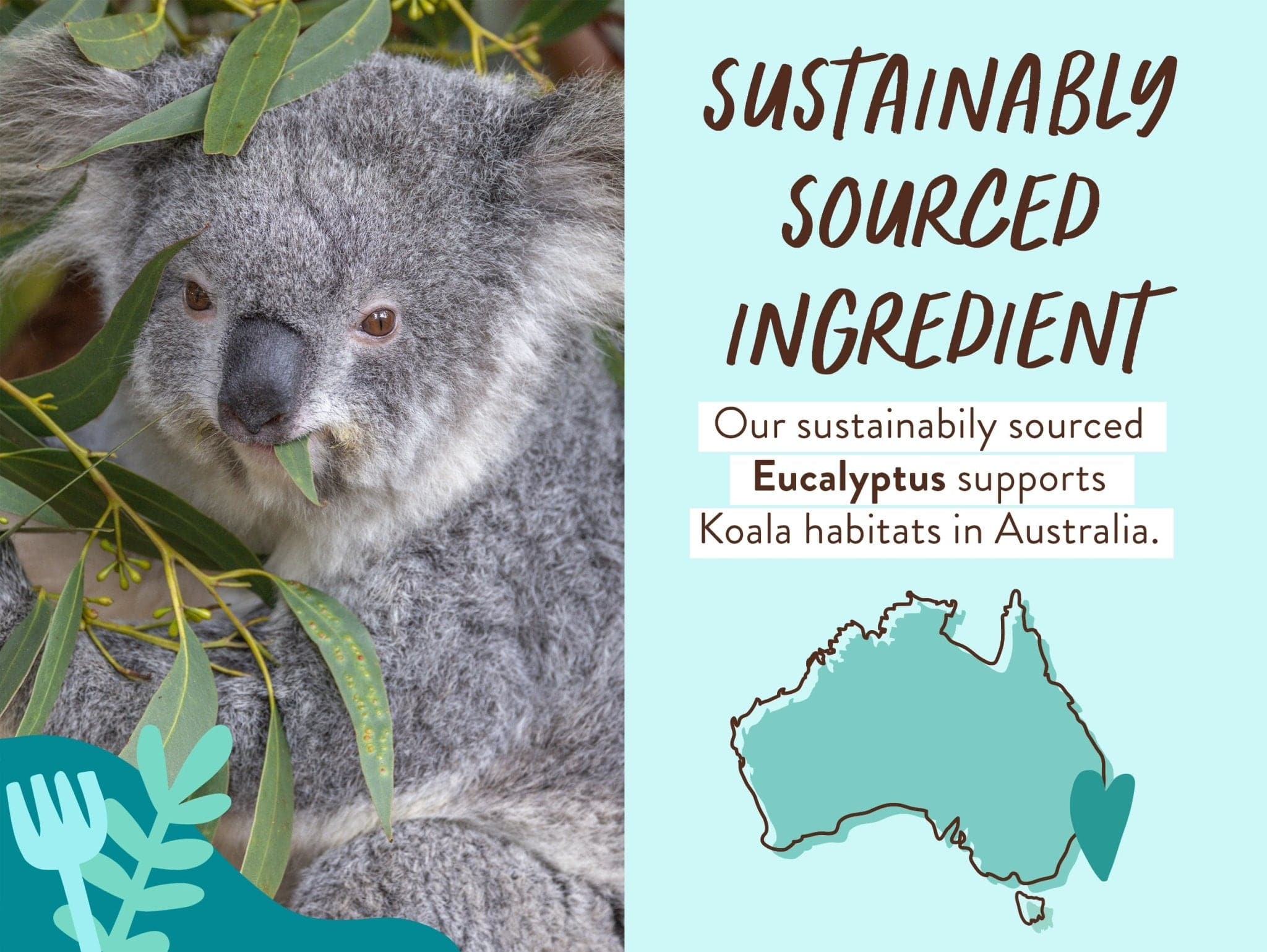 Eucalyptus Body Wash & Bubble Bath - Image 5