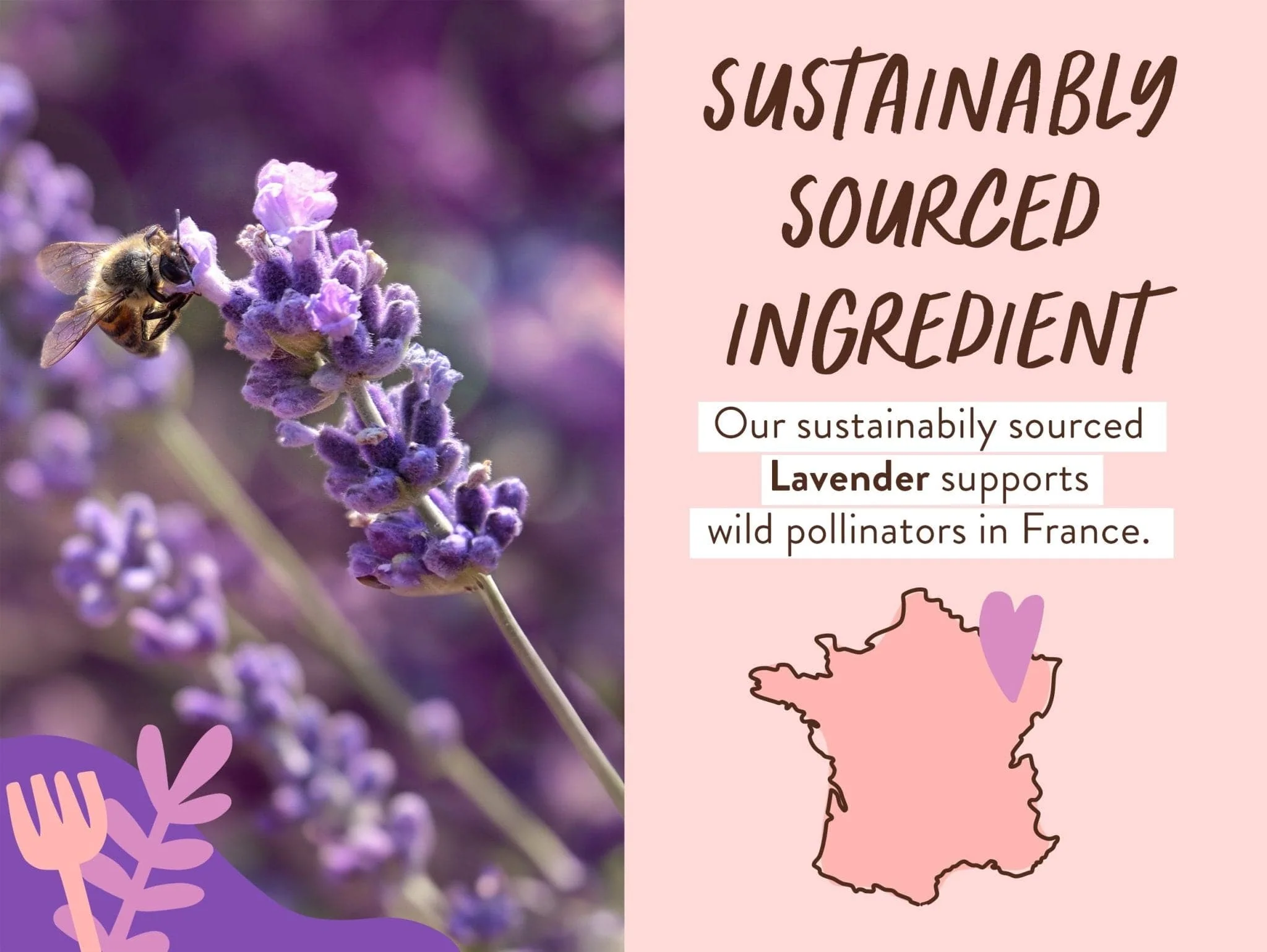 Calming Lavender Bubble Bath & Wash Duo - Image 5
