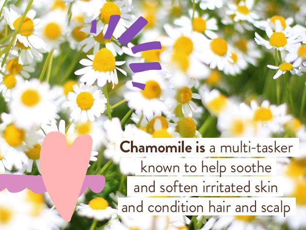Calming Lavender Care Routine (Bubble Bath + Lotion) - Image 7