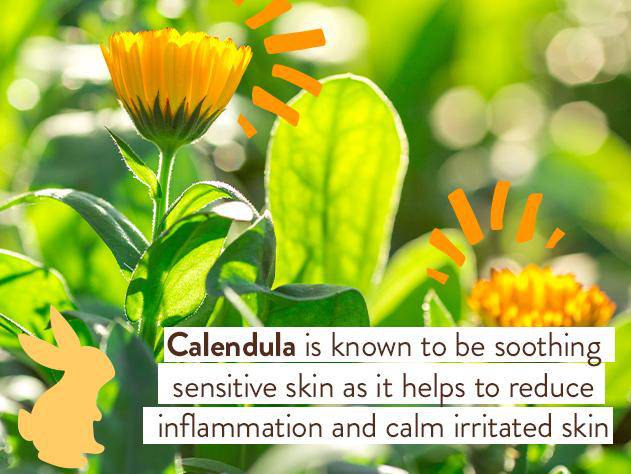 Moisturizing Oat & Calendula Bubble Bath & Wash - Image 7