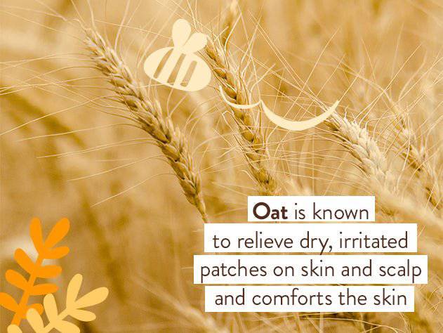 Moisturizing Oat & Calendula Body Lotion Duo - Image 8