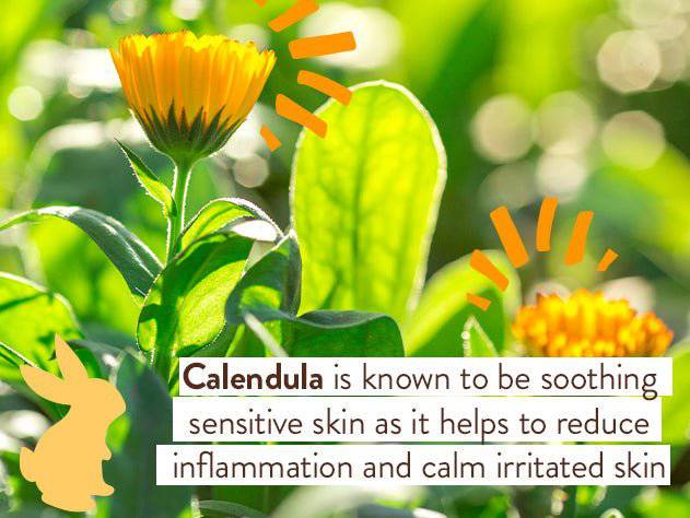 Moisturizing Oat & Calendula Bubble Bath & Wash Duo - Image 9