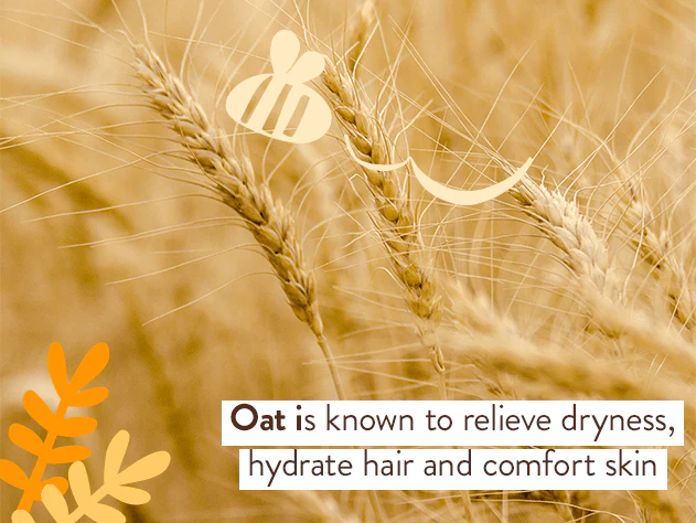 Moisturizing Oat & Calendula Shampoo & Wash Duo - Image 7