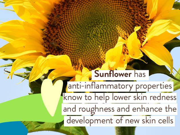 Sensitive Baby Mineral Sunscreen Stick SPF50 - Image 4